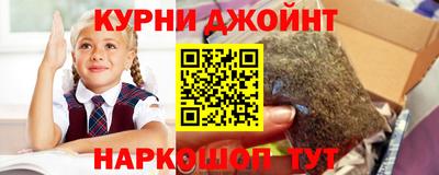 твердый Заводоуковск
