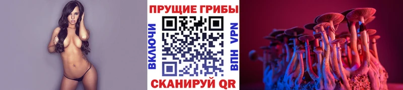 kraken зеркало  Медногорск  Галлюциногенные грибы GOLDEN TEACHER 