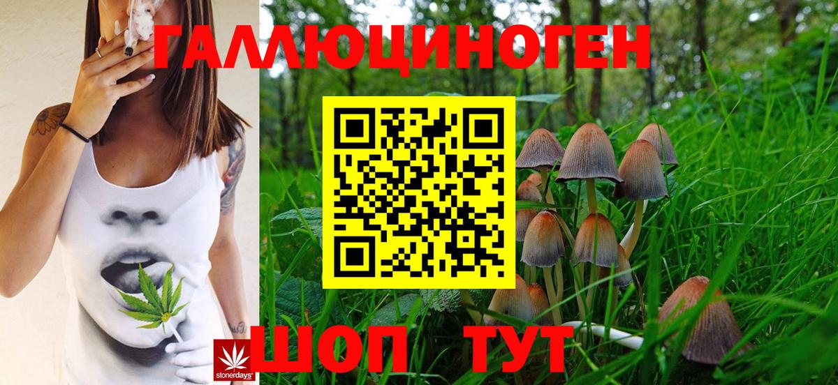 Галлюциногенные грибы мухоморы Медногорск